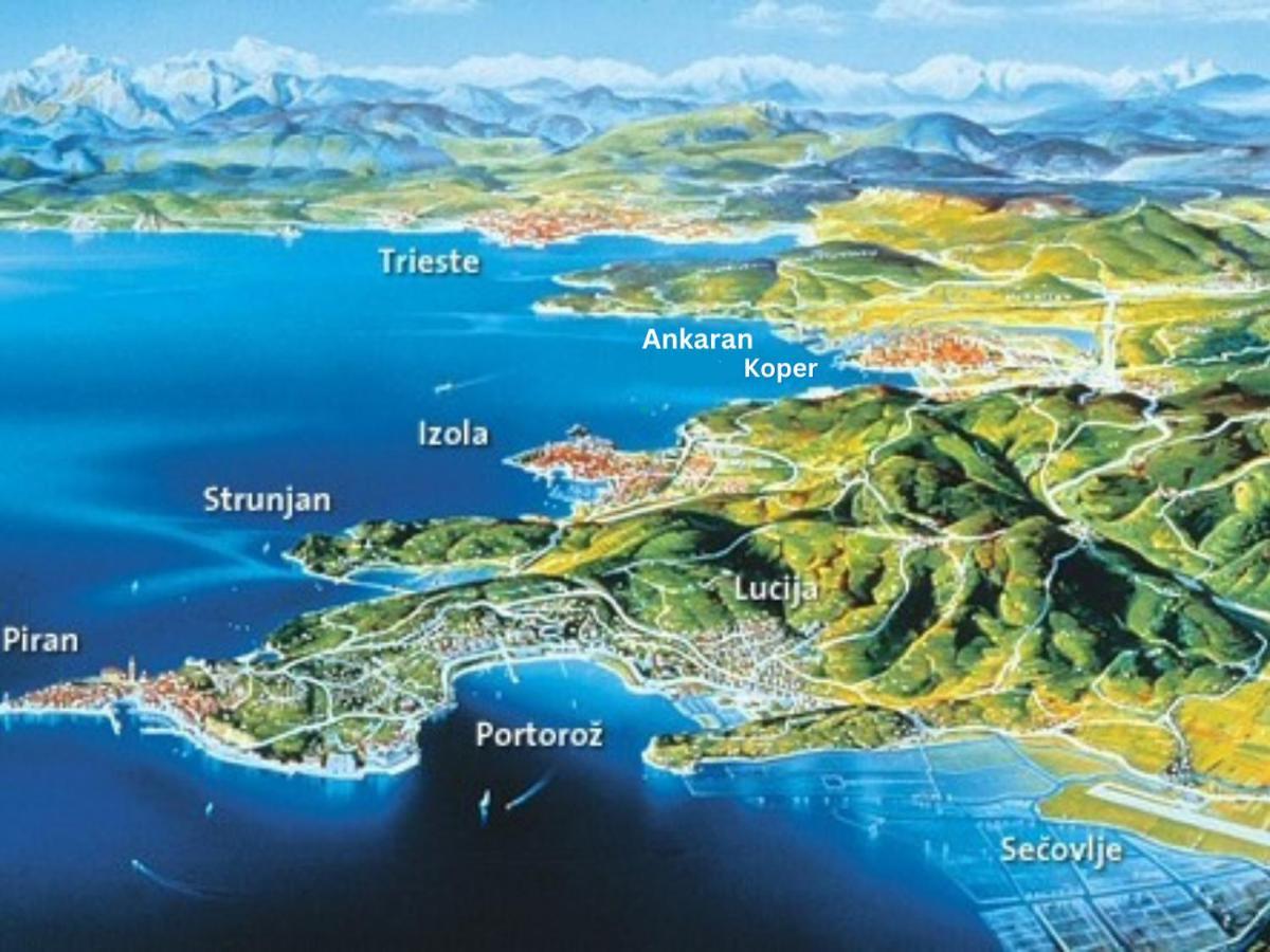 Rezidenca Ortus 3* Ancarano