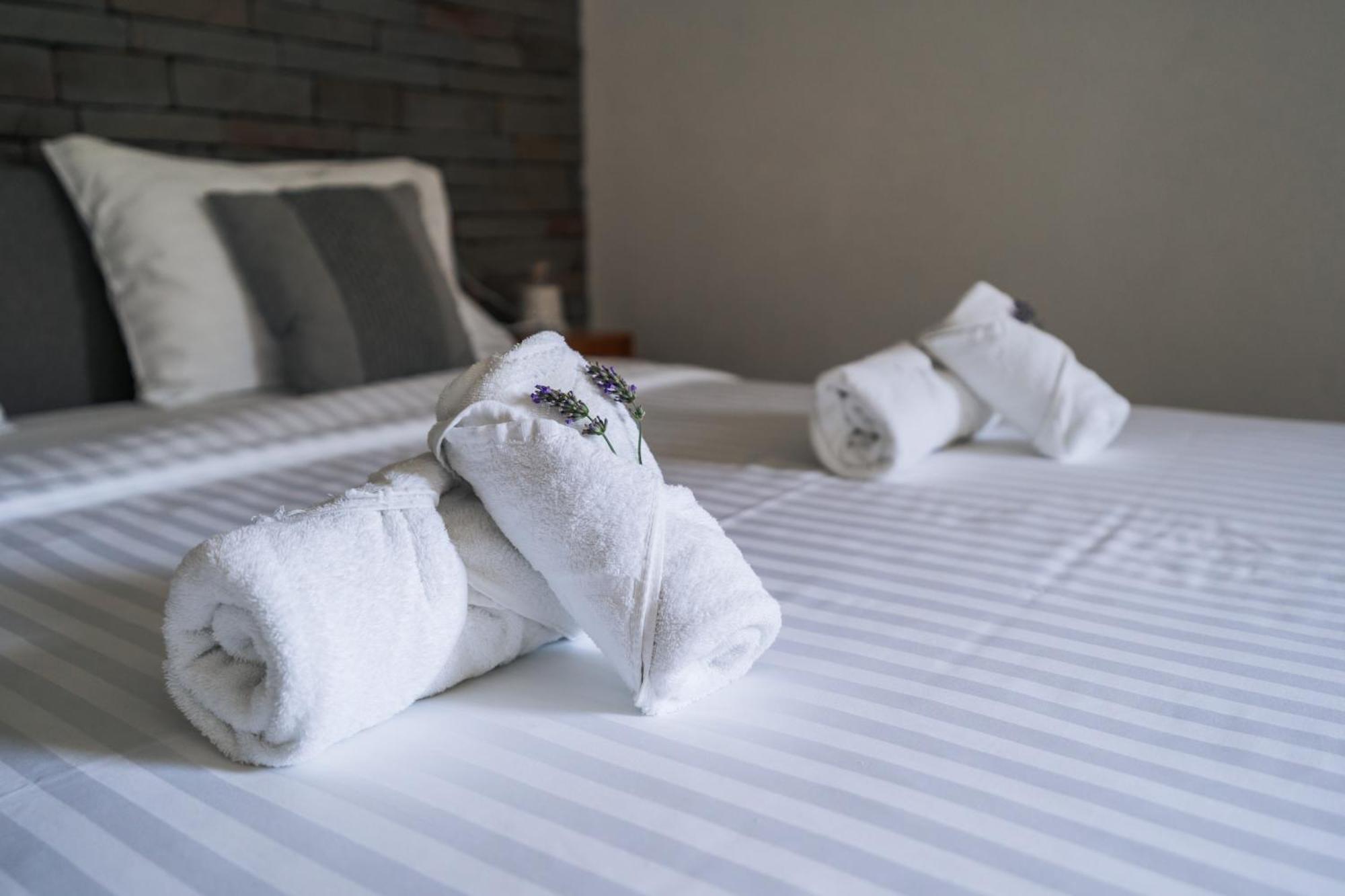 Rezidenca Ortus Hotel Ancarano